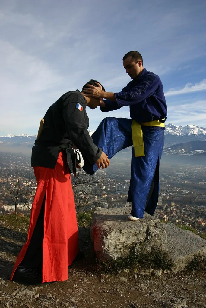 Off Topic: What Are Some Lesser Known Martial Arts from Around the World? - Jackson Wink MMA News
