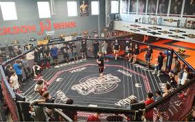 Structured Training Environments Shape Consistent Performance In MMA Camps